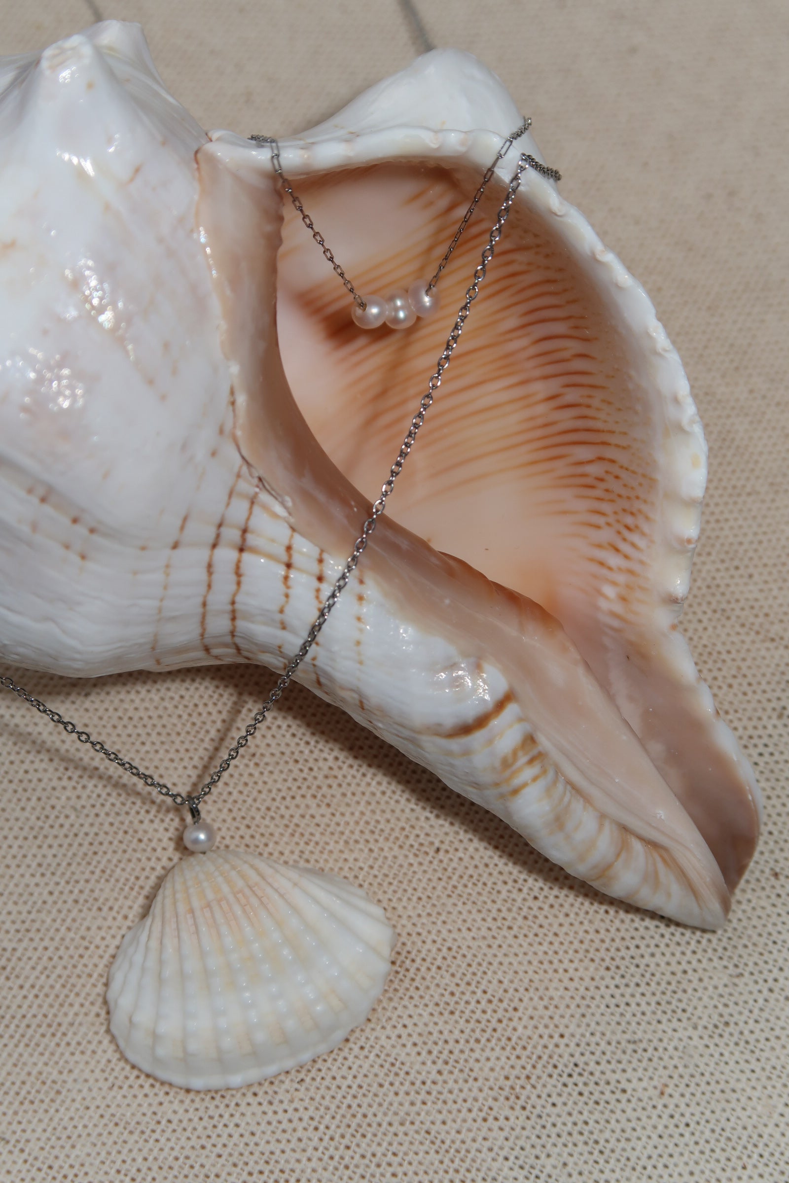 Double Chain Shell With The Pearls