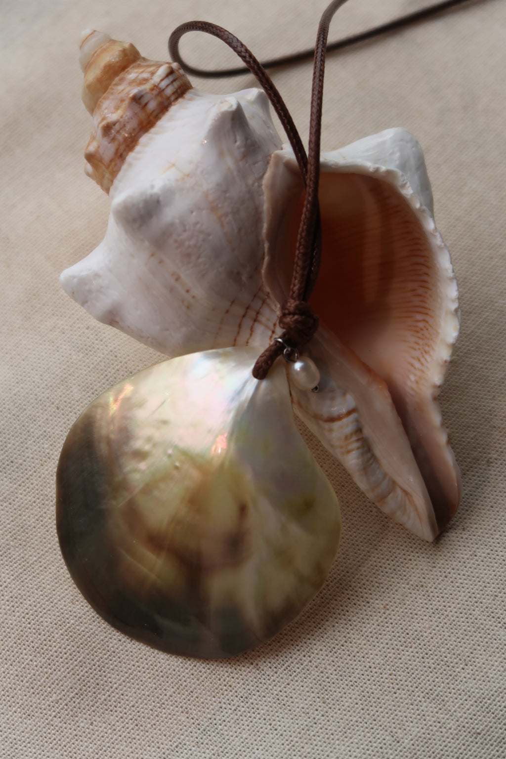 Rope With The Big Shell